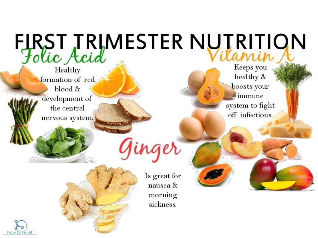 First trimester food
