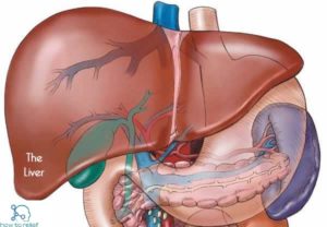 Liver disease