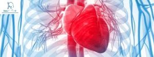 cardiac doctor