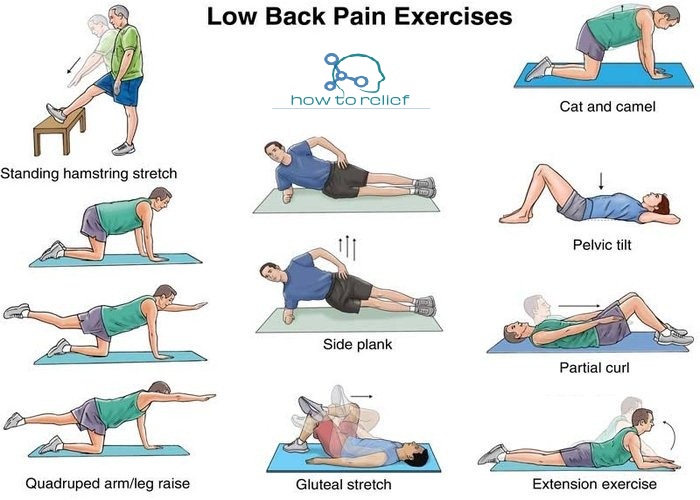 6 Exercises for Lower Back Pain, According to a Physical Therapist
