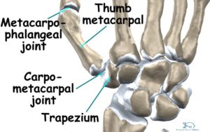 Saddle joints