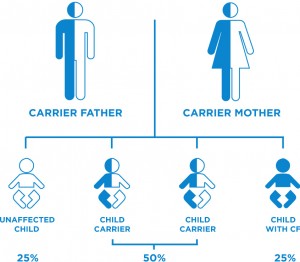 cystic fibrosis causes