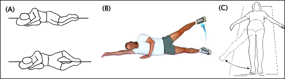 hip abductor exercises