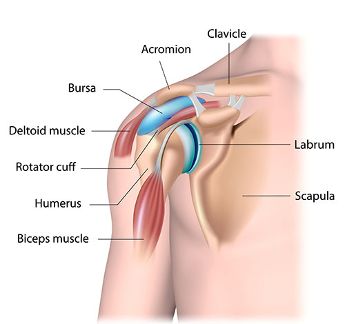 shoulder pain relief